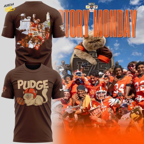 04.Pudge the cat tshirt - Brown