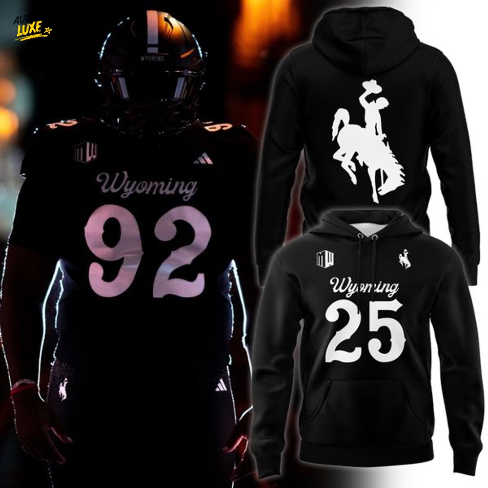 2025 Wyoming Cowboys Dark Mode Black Hoodie 2025 Wyoming Cowboys Dark Mode Black Hoodie