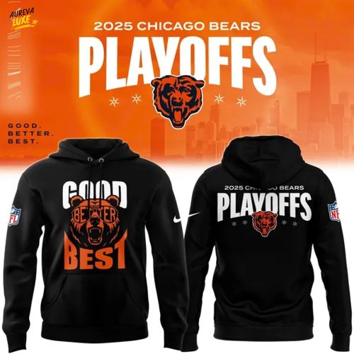Men's Nike Black Chiago Bears 2025 NFL Playoffs Special Hoodie